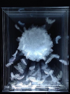 Nicolette Jelen, Ball of Feathers, 2014, Engraving on Plexiglass and Lightbox, 20 x 16 x 8 inches